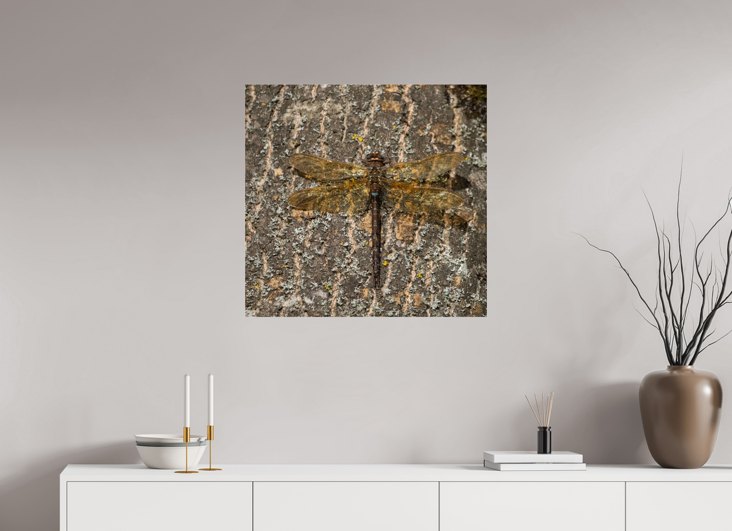 Dragonfly on Tree Trunk