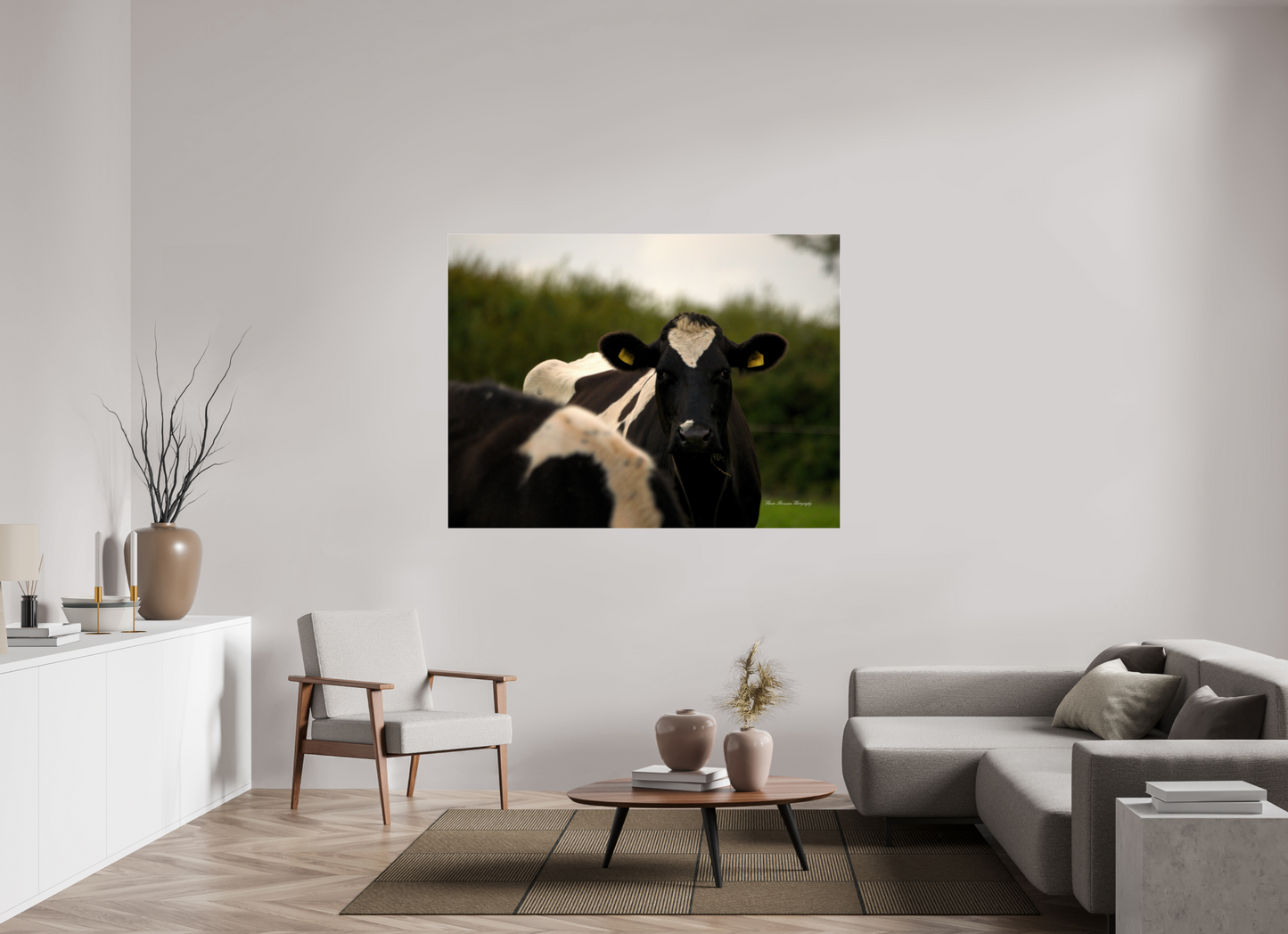 Morning Moo Metallic Photo Print under Acrylic Glass