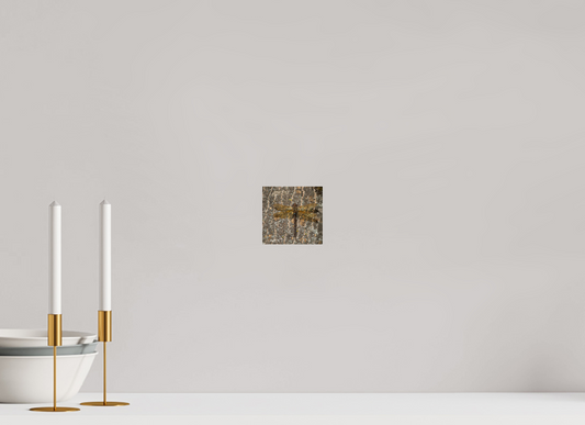 Dragonfly on Tree Trunk