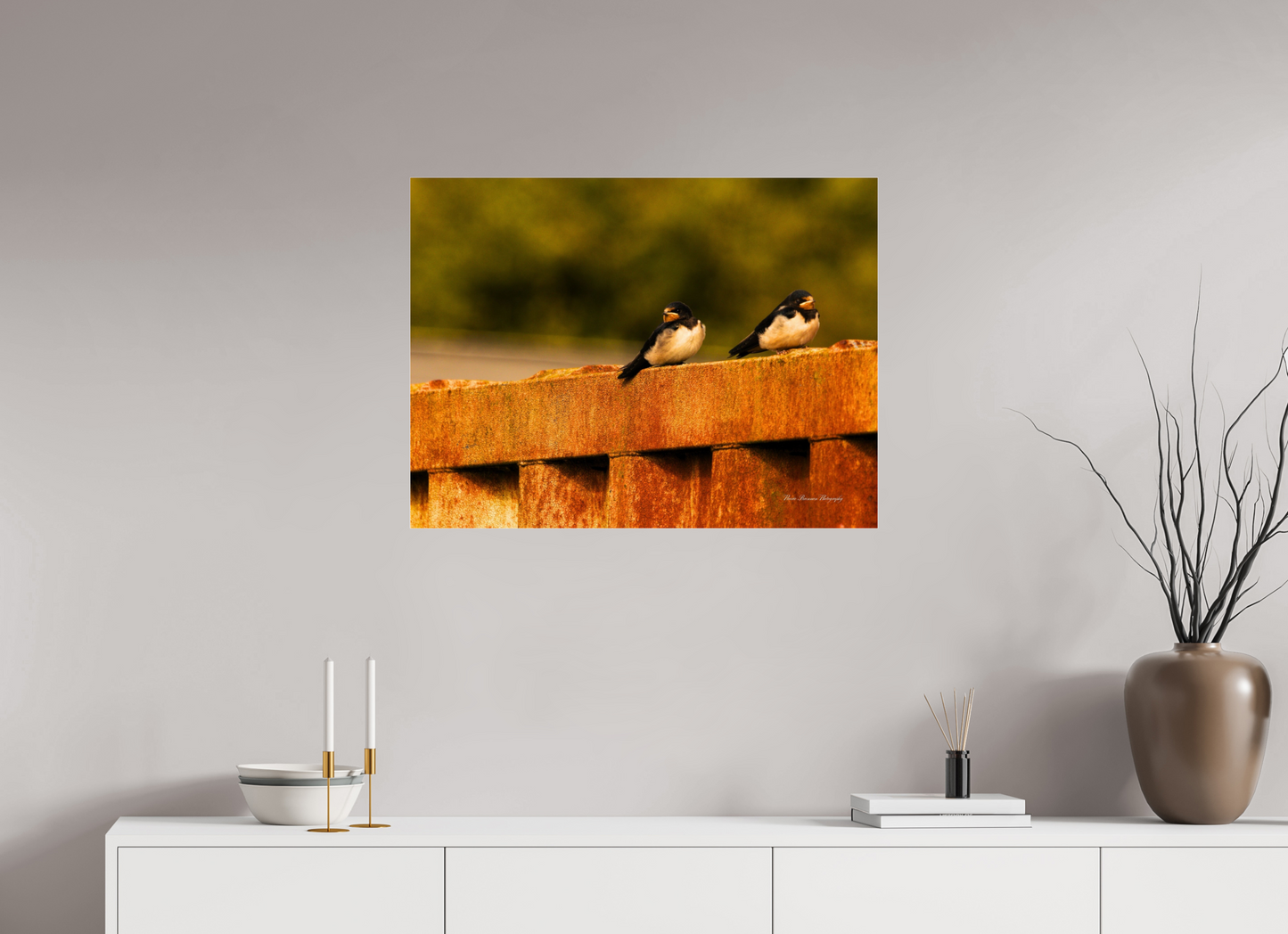 Swallows at Rest – Golden Hour Perch Metallic Photo Print under Acrylic Glass