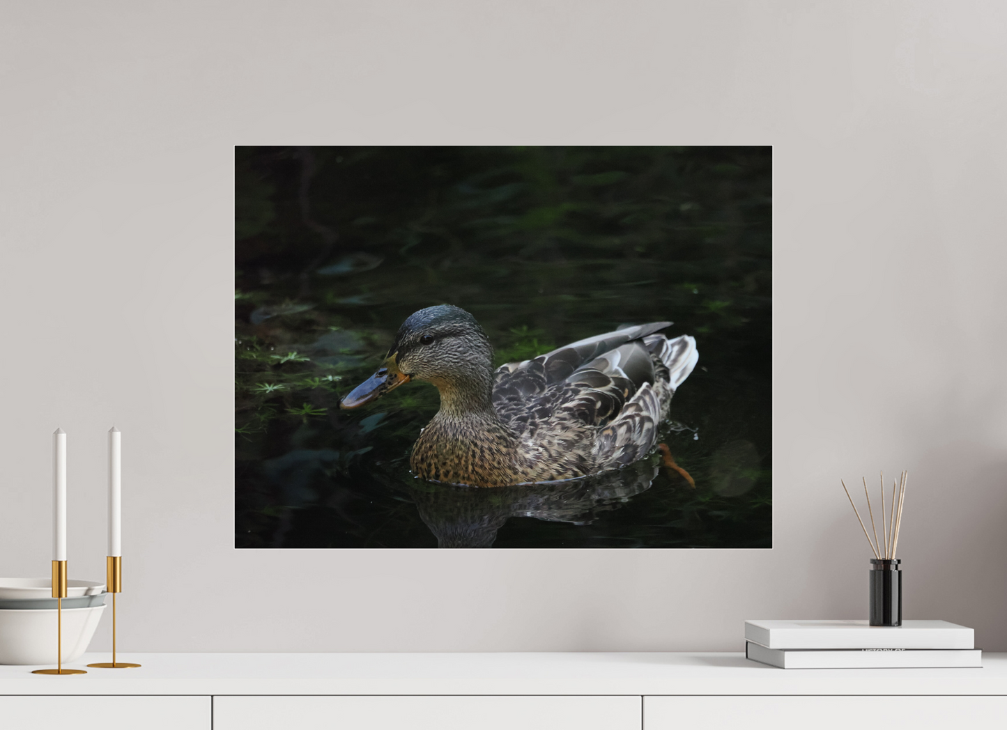 Silent Glide, Mallard in the Morning by Pauric Brennan