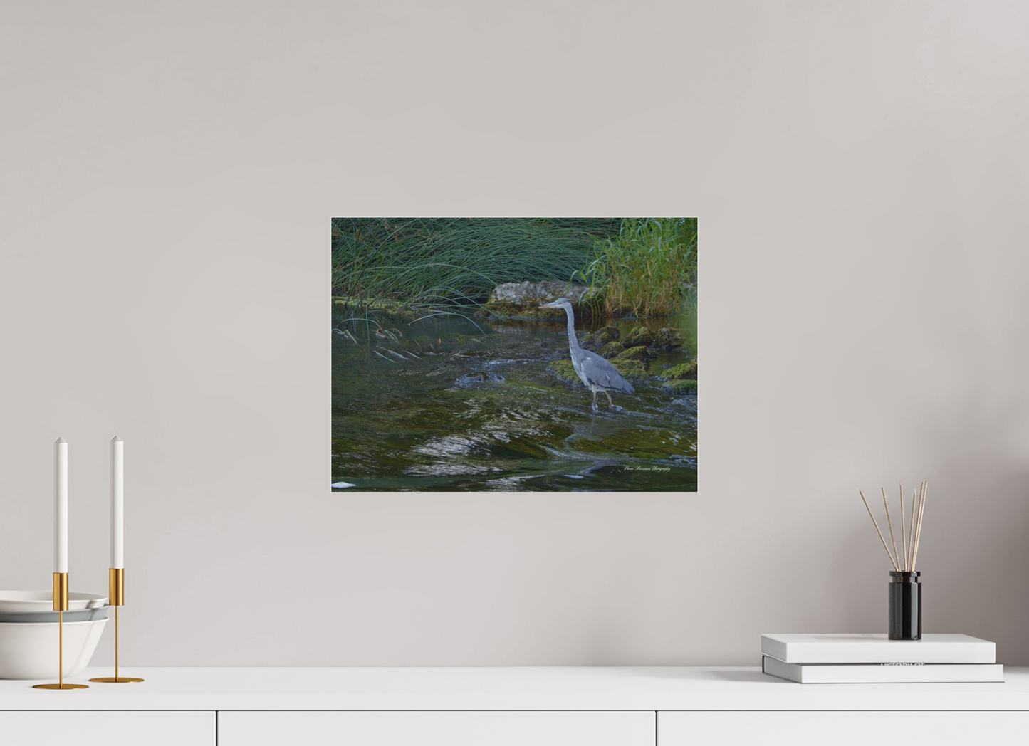 Grey Heron on River Metallic Photo Print under Acrylic Glass