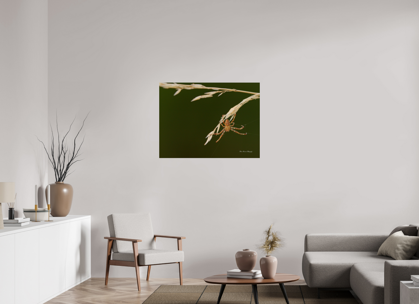 Garden Spider on Wild Barley Metallic Photo Print under Acrylic Glass