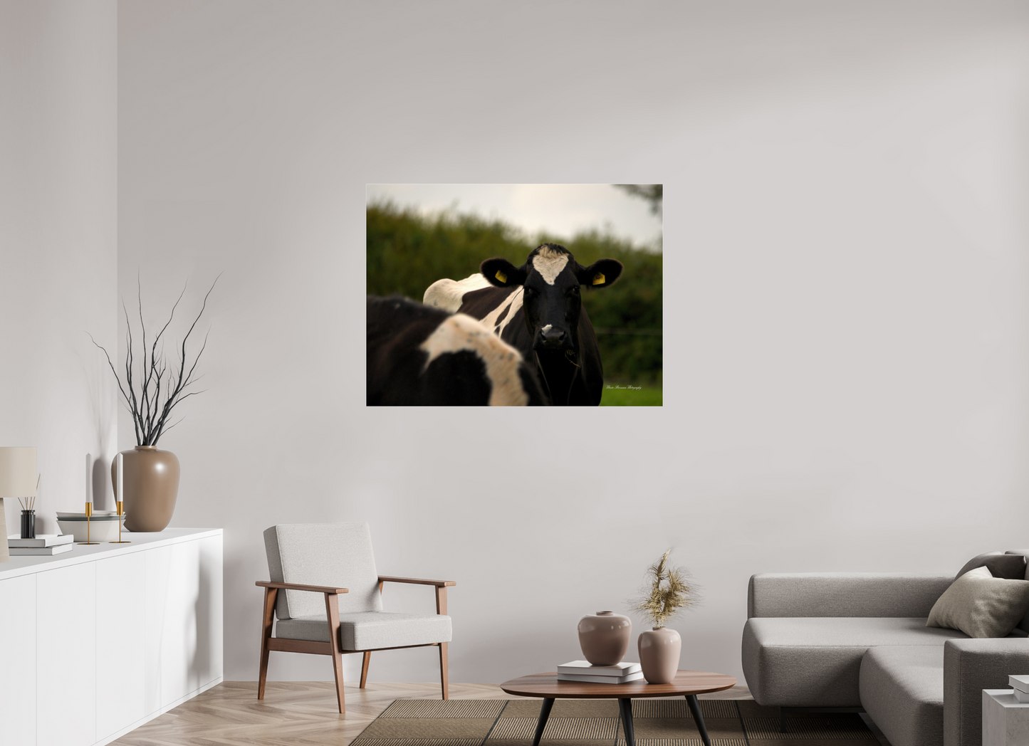 Morning Moo Metallic Photo Print under Acrylic Glass