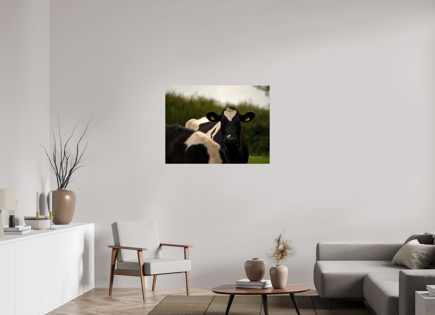 Morning Moo Metallic Photo Print under Acrylic Glass