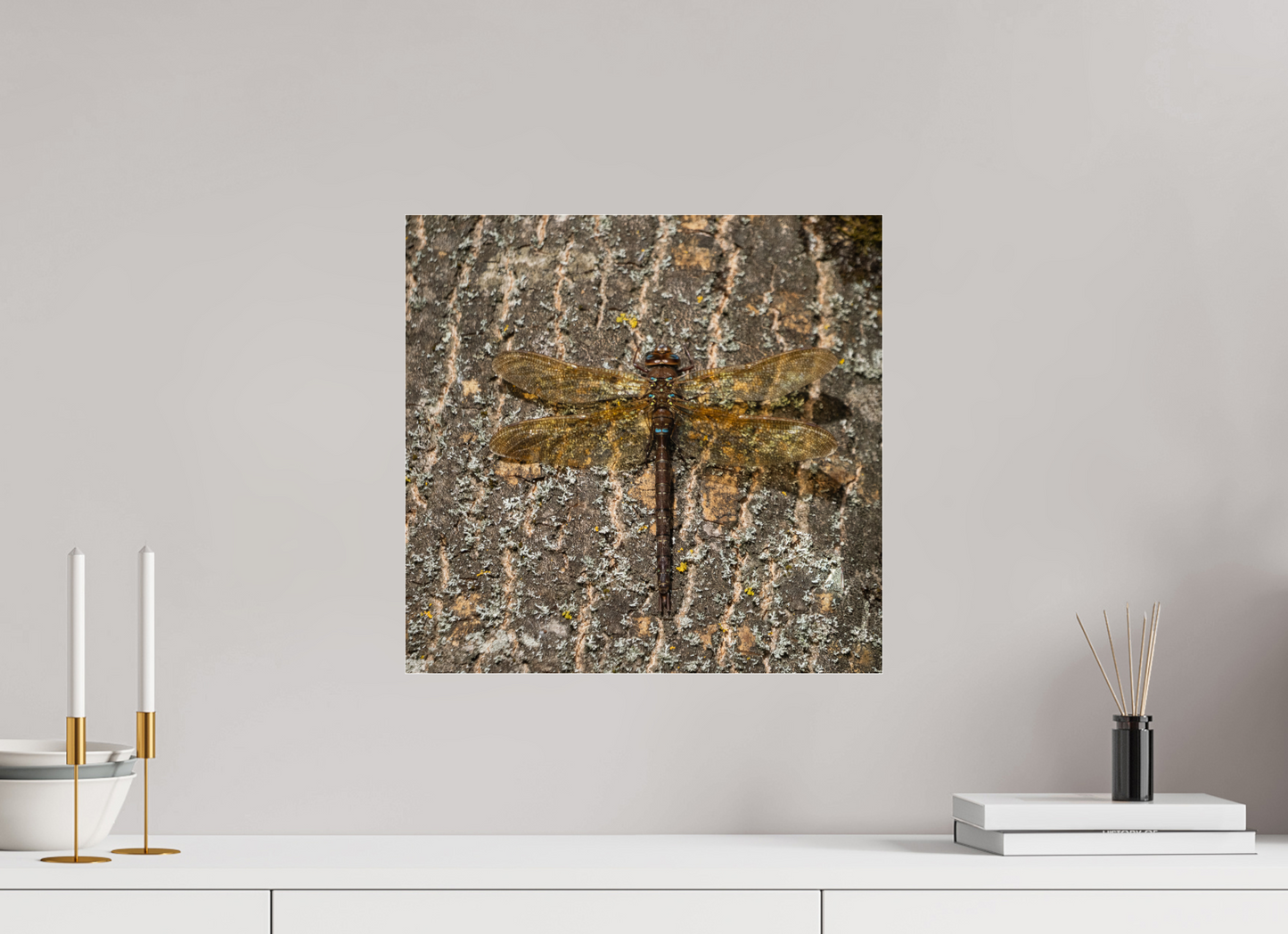 Dragonfly on Tree Trunk