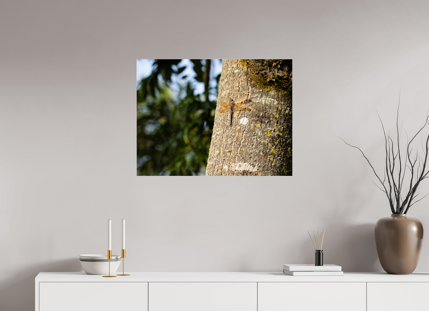 Dragonfly in early Morning Sunlight on tree Trunk