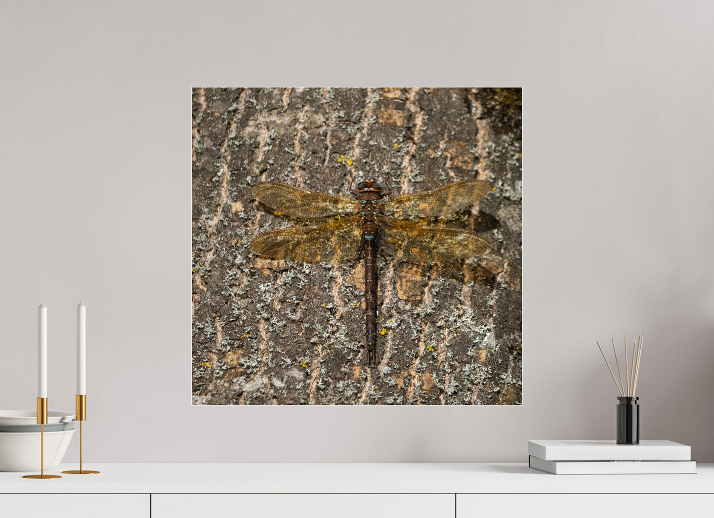 Dragonfly on Tree Trunk