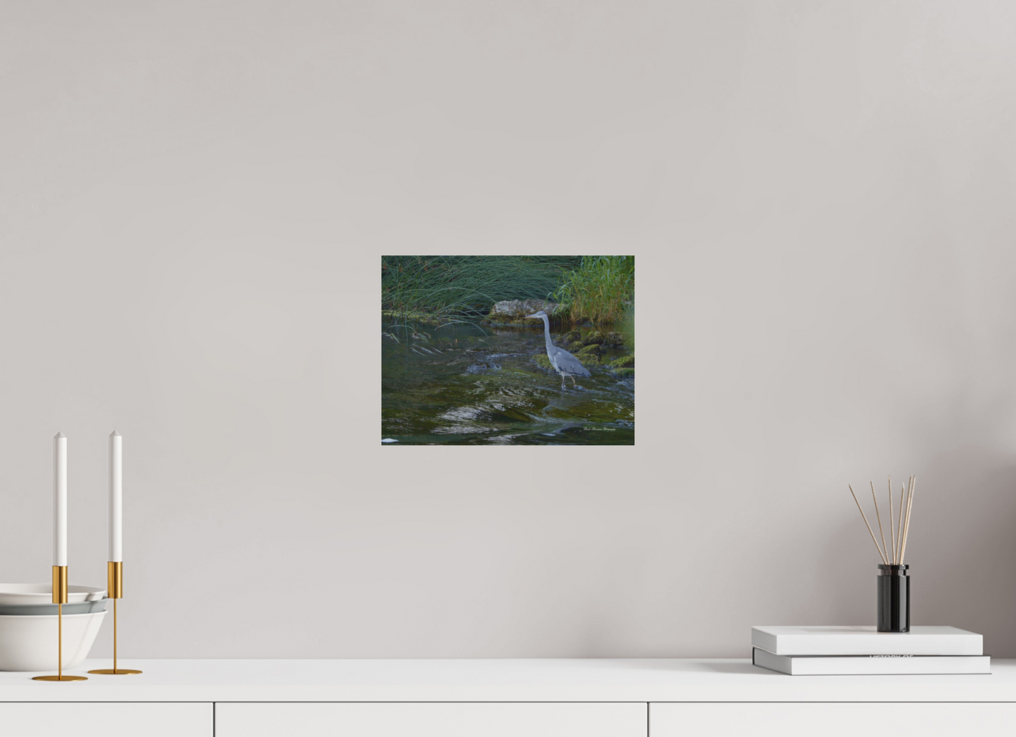 Grey Heron on River Metallic Photo Print under Acrylic Glass