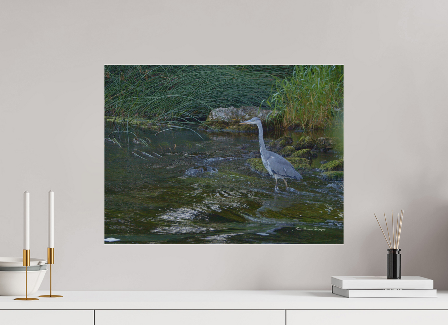 Grey Heron on River Metallic Photo Print under Acrylic Glass
