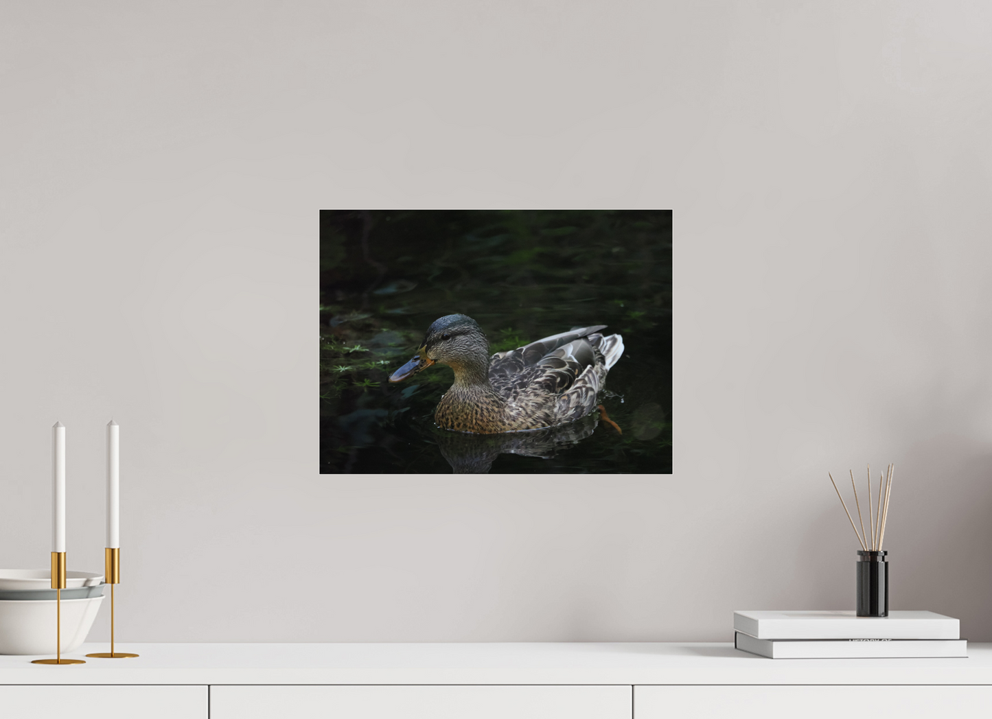 Silent Glide, Mallard in the Morning by Pauric Brennan