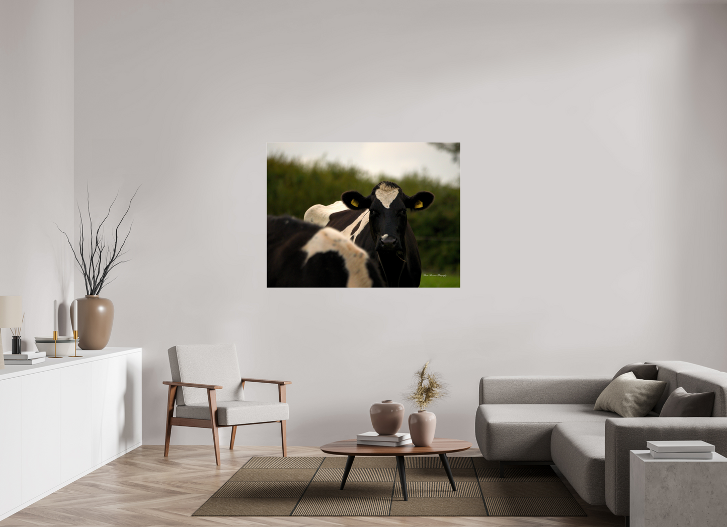 Morning Moo Metallic Photo Print under Acrylic Glass