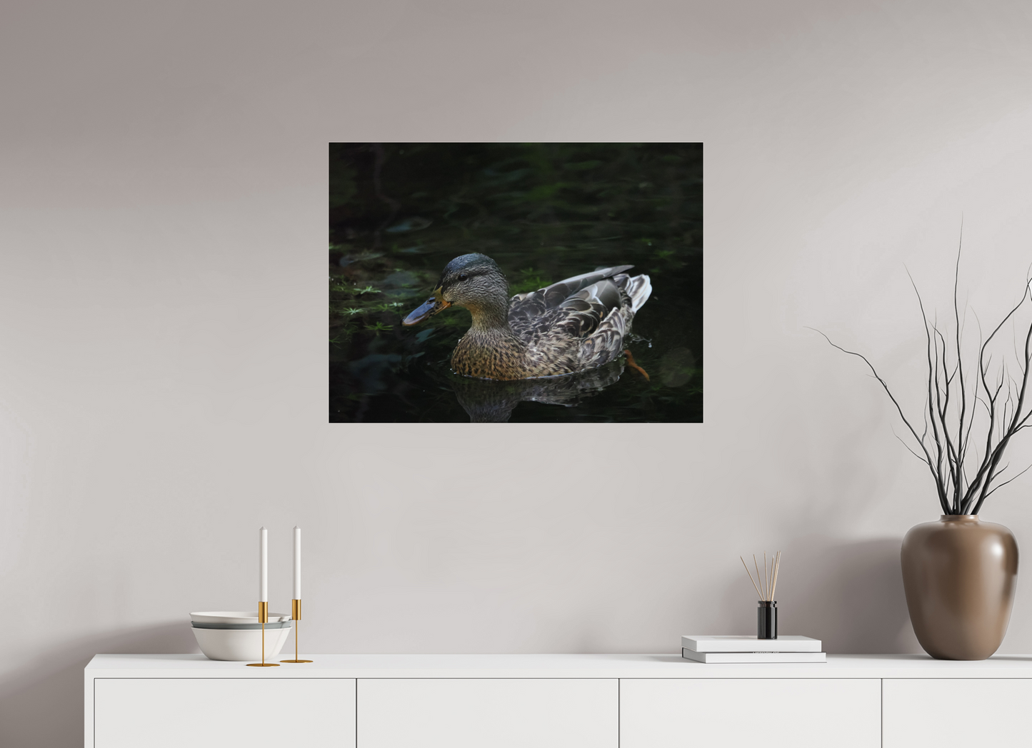 Silent Glide, Mallard in the Morning by Pauric Brennan